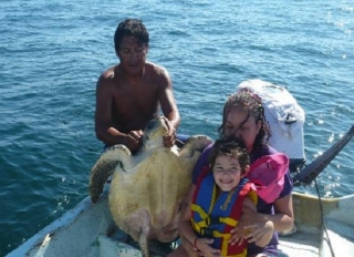 Experiencia con tortugas